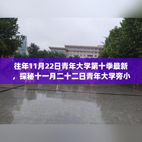 探秘十一月二十二日青年大学旁小巷的隐藏美食——第十季最新独特风味小店