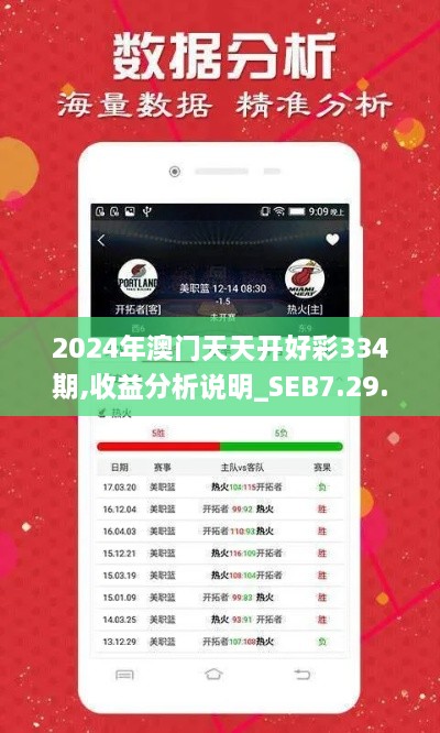 2024年澳门天天开好彩334期,收益分析说明_SEB7.29.31专属版