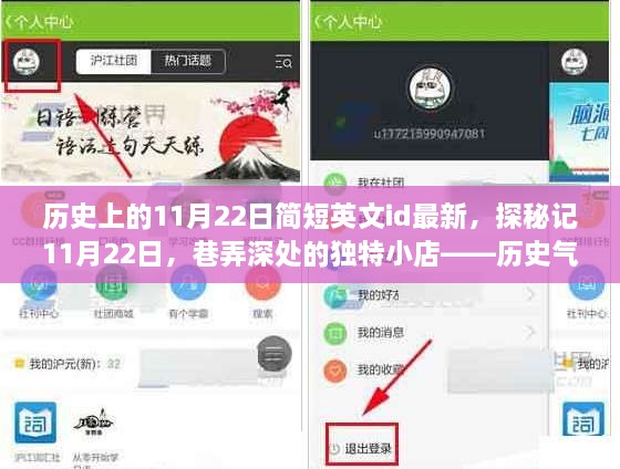 历史气息与最新ID的奇妙邂逅，记11月22日巷弄深处的独特小店探秘