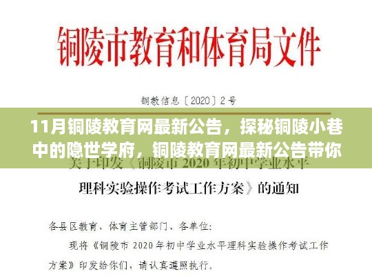 探秘铜陵小巷隐世学府，教育网最新公告揭示独特教育小店风采