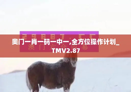 奥门一肖一码一中一,全方位操作计划_TMV2.87