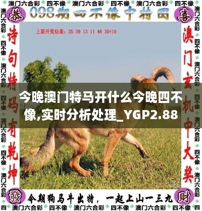 今晚澳门特马开什么今晚四不像,实时分析处理_YGP2.88