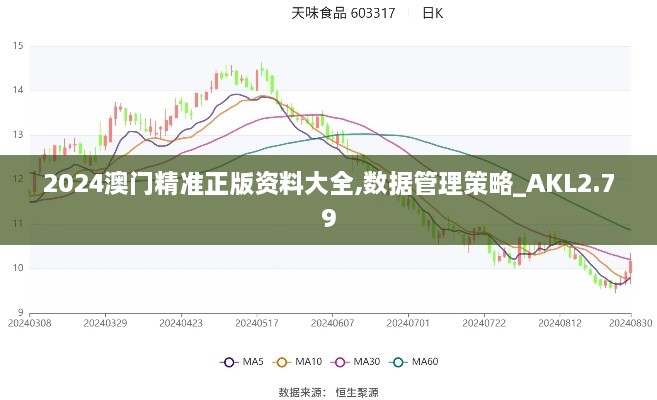 2024澳门精准正版资料大全,数据管理策略_AKL2.79