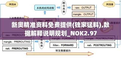 新奥精准资料免费提供(独家猛料),数据解释说明规划_NOK2.97