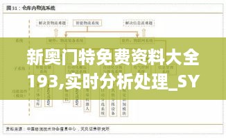 新奥门特免费资料大全193,实时分析处理_SYQ2.11