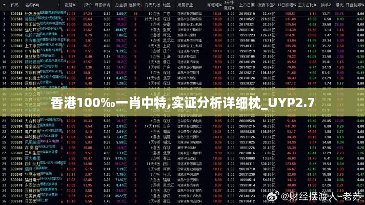 香港100‰一肖中特,实证分析详细枕_UYP2.7