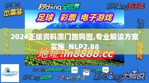 2024正版资料澳门跑狗图,专业解读方案实施_NLP2.88