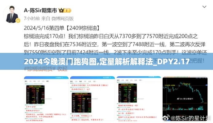 2024今晚澳门跑狗图,定量解析解释法_DPY2.17