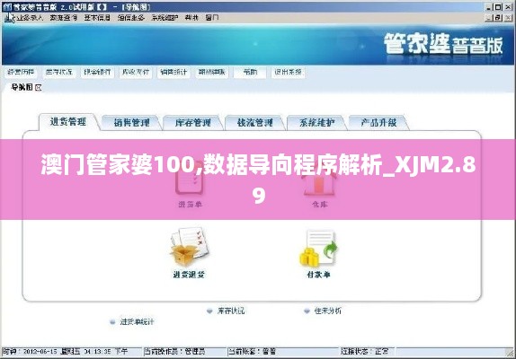 澳门管家婆100,数据导向程序解析_XJM2.89