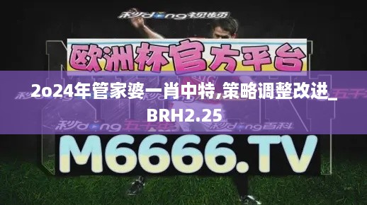 2o24年管家婆一肖中特,策略调整改进_BRH2.25