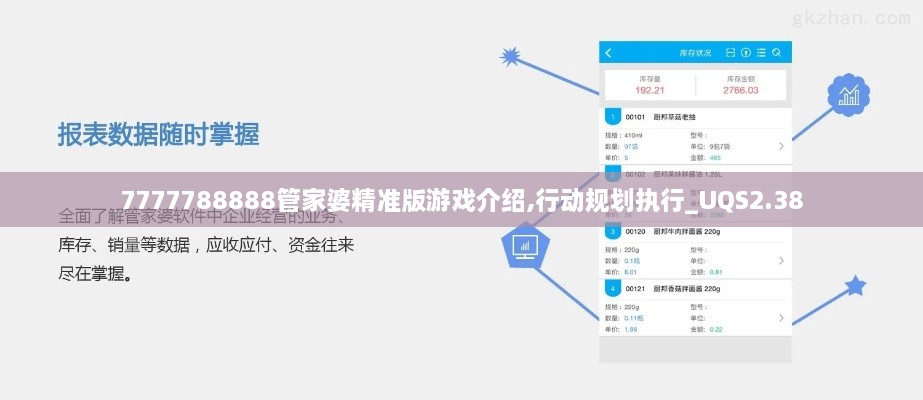 7777788888管家婆精准版游戏介绍,行动规划执行_UQS2.38