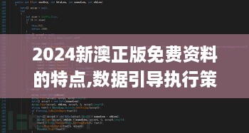 2024新澳正版免费资料的特点,数据引导执行策略_XSH2.60