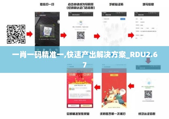 一肖一码精准一,快速产出解决方案_RDU2.67