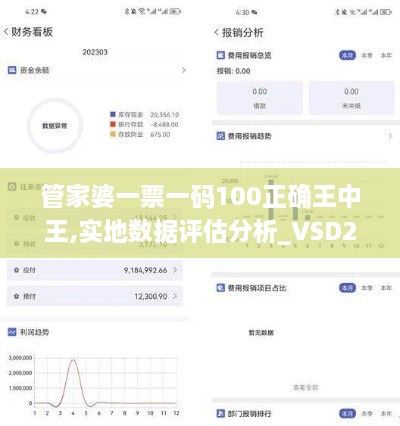 管家婆一票一码100正确王中王,实地数据评估分析_VSD2.99