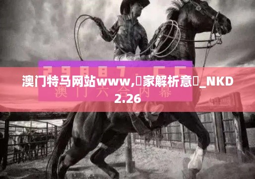 澳门特马网站www,專家解析意見_NKD2.26