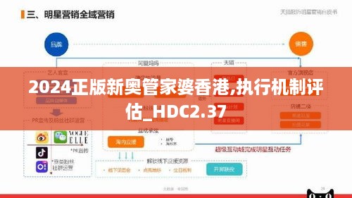 2024正版新奥管家婆香港,执行机制评估_HDC2.37