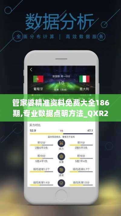 管家婆精准资料免费大全186期,专业数据点明方法_QXR2.47