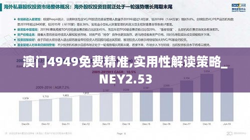 澳门4949免费精准,实用性解读策略_NEY2.53