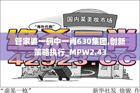 管家婆一码中一肖630集团,创新策略执行_MPW2.43