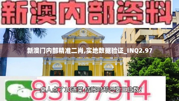 新澳门内部精准二肖,实地数据验证_INQ2.97