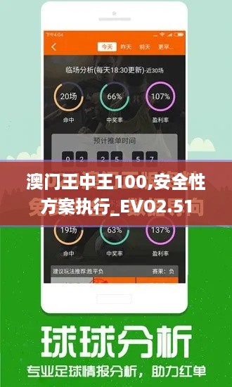 澳门王中王100,安全性方案执行_EVO2.51