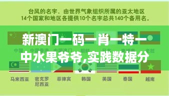 新澳门一码一肖一特一中水果爷爷,实践数据分析评估_YZE2.95