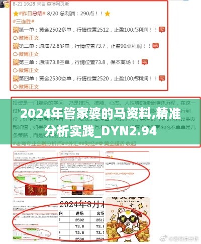 2024年管家婆的马资料,精准分析实践_DYN2.94