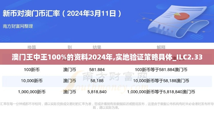 澳门王中王100%的资料2024年,实地验证策略具体_ILC2.33