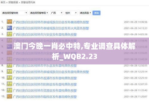 澳门今晚一肖必中特,专业调查具体解析_WQB2.23