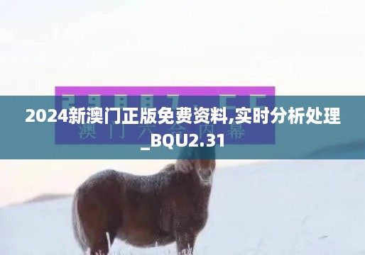 2024新澳门正版免费资料,实时分析处理_BQU2.31