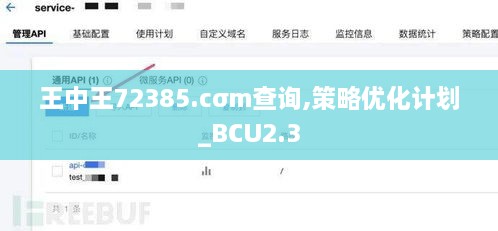 王中王72385.cσm查询,策略优化计划_BCU2.3