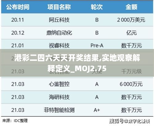 港彩二四六天天开奖结果,实地观察解释定义_MOJ2.75