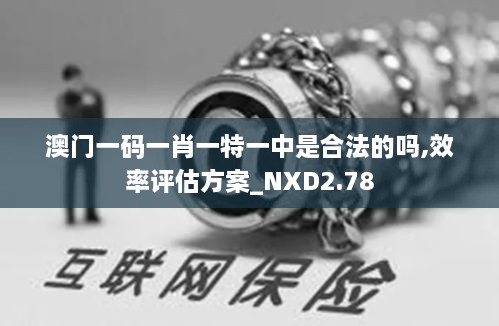 澳门一码一肖一特一中是合法的吗,效率评估方案_NXD2.78