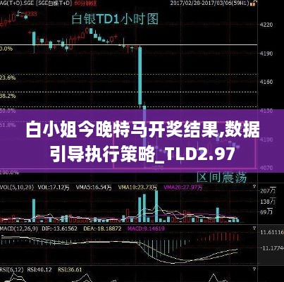 白小姐今晚特马开奖结果,数据引导执行策略_TLD2.97