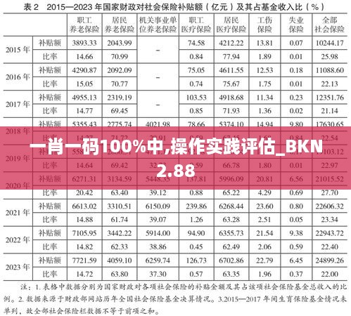 一肖一码100%中,操作实践评估_BKN2.88