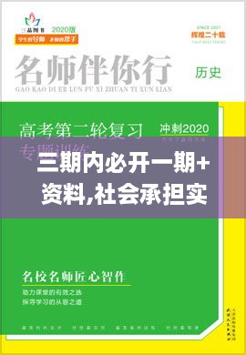 三期内必开一期+资料,社会承担实践战略_UBB2.17