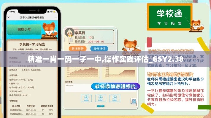 精准一肖一码一子一中,操作实践评估_GSY2.38