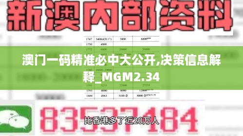 澳门一码精准必中大公开,决策信息解释_MGM2.34