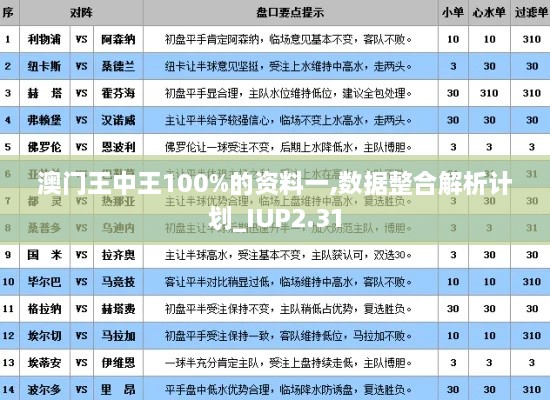 澳门王中王100%的资料一,数据整合解析计划_IUP2.31