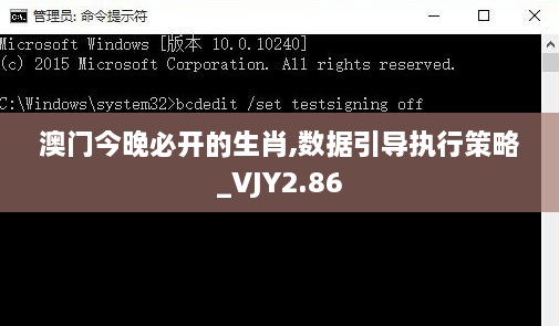 澳门今晚必开的生肖,数据引导执行策略_VJY2.86