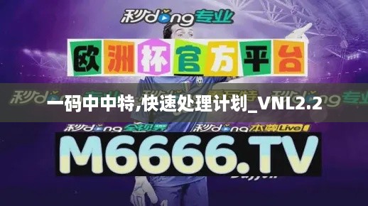 一码中中特,快速处理计划_VNL2.2