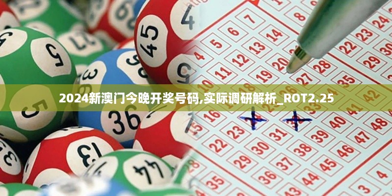 2024新澳门今晚开奖号码,实际调研解析_ROT2.25