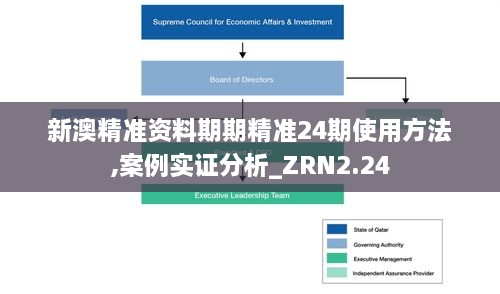 新澳精准资料期期精准24期使用方法,案例实证分析_ZRN2.24