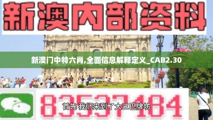 新澳门中特六肖,全面信息解释定义_CAB2.30