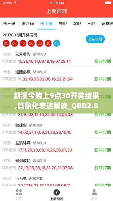 新澳今晚上9点30开奖结果,具象化表达解说_QBD2.8