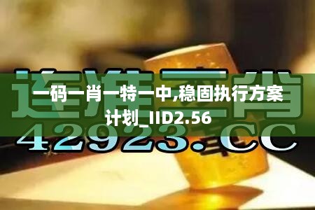 一码一肖一特一中,稳固执行方案计划_IID2.56