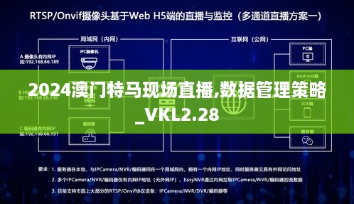 2024澳门特马现场直播,数据管理策略_VKL2.28