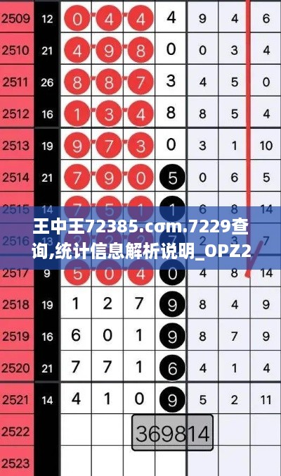 王中王72385.cσm.7229查询,统计信息解析说明_OPZ2.42