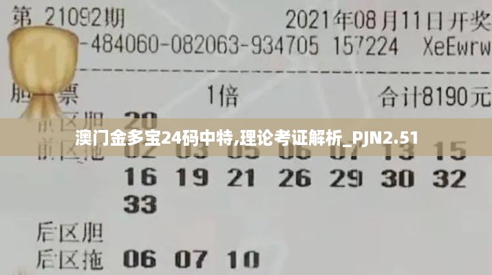 澳门金多宝24码中特,理论考证解析_PJN2.51