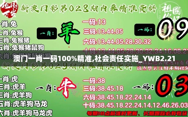 澳门一肖一码100%精准,社会责任实施_YWB2.21